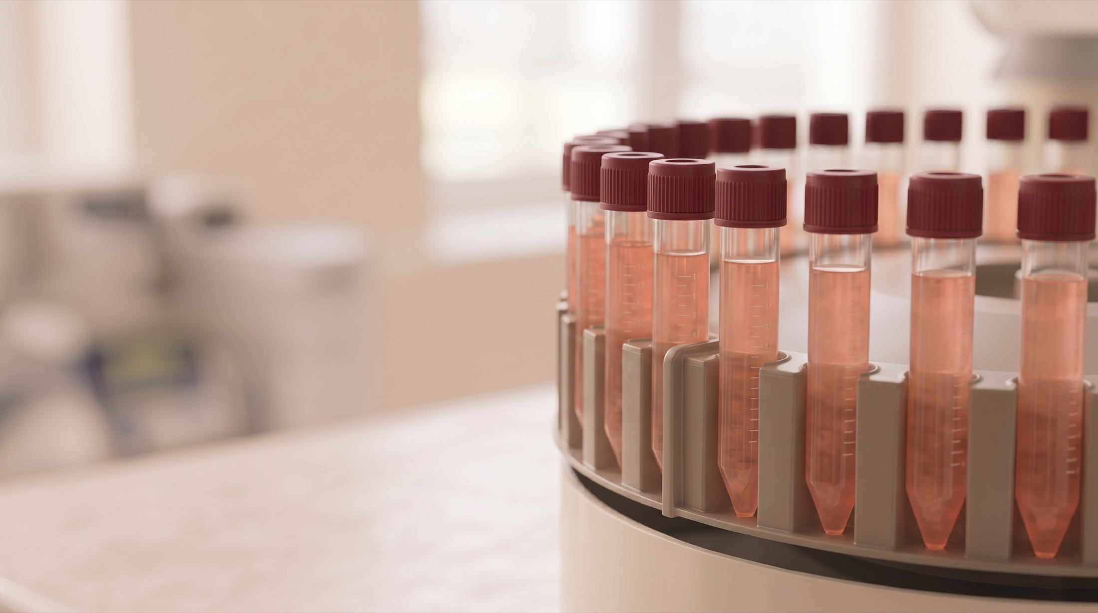 Tubes of salmon-coloured culture medium in a rack at the institute's certified cell laboratory